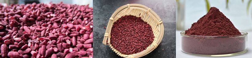 red yeast rice