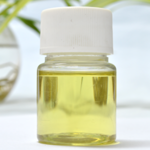 Grape seed oil Grape seed oil