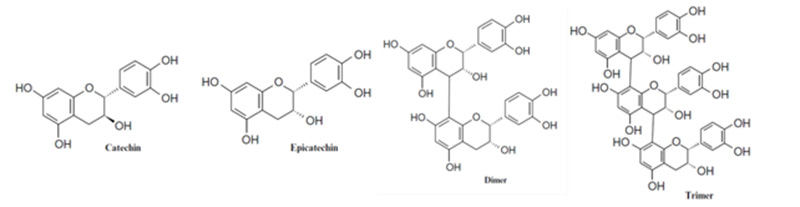 Grape seed extract