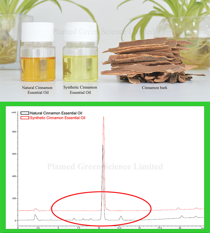 cinnamon oil