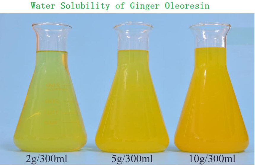 water solubility of Ginger Oleoresin