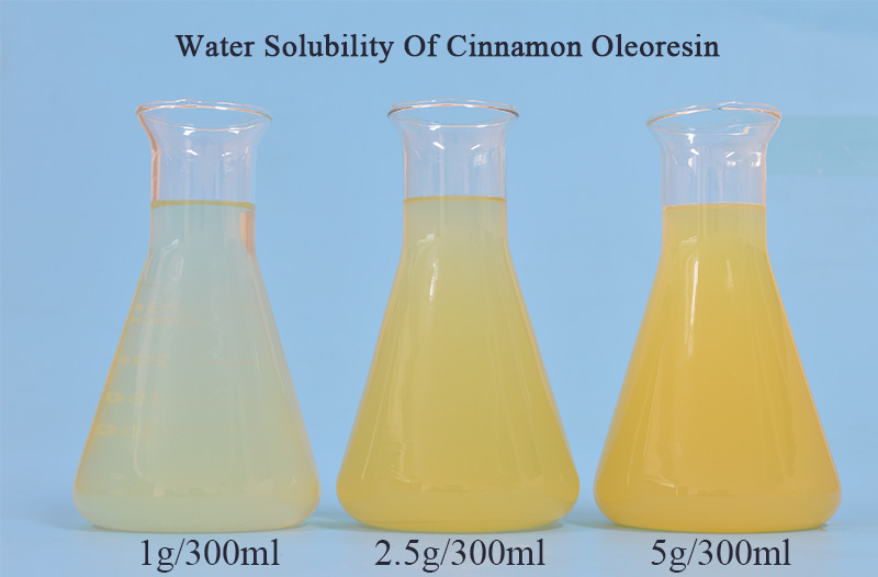 water solubility of cinnamon oleoresin