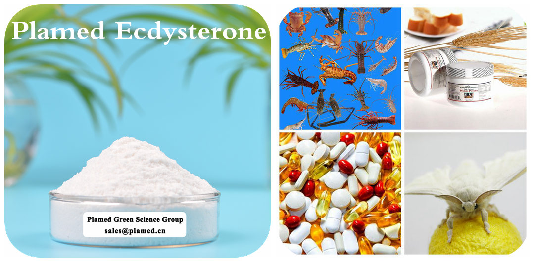 Ecdysterone