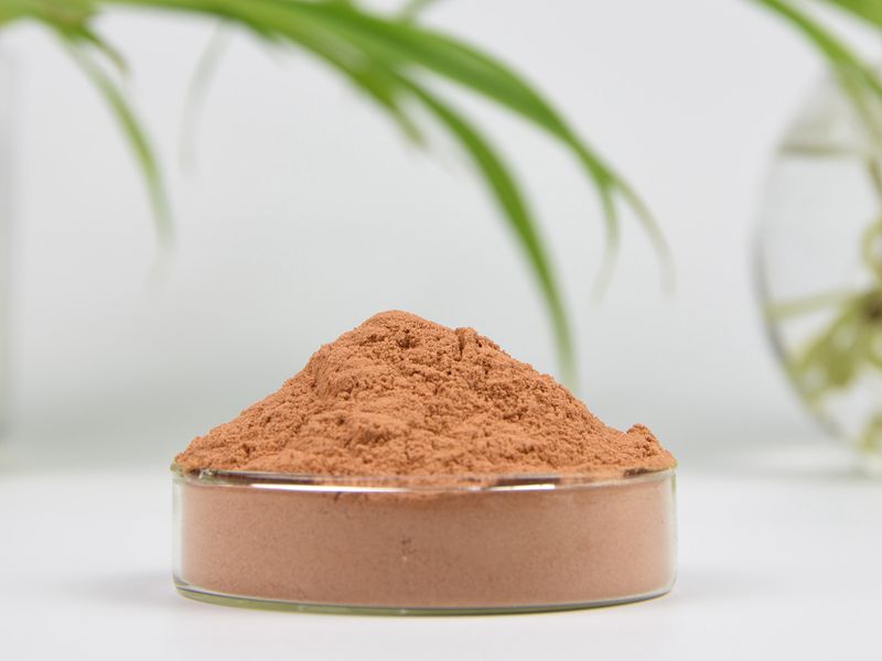 Green Tea Extract