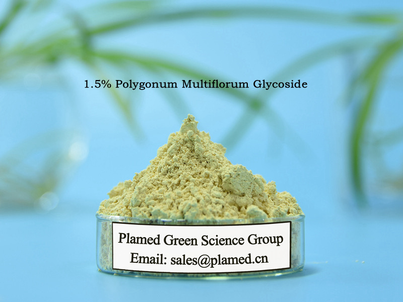 Fallopia Multiflora Extract