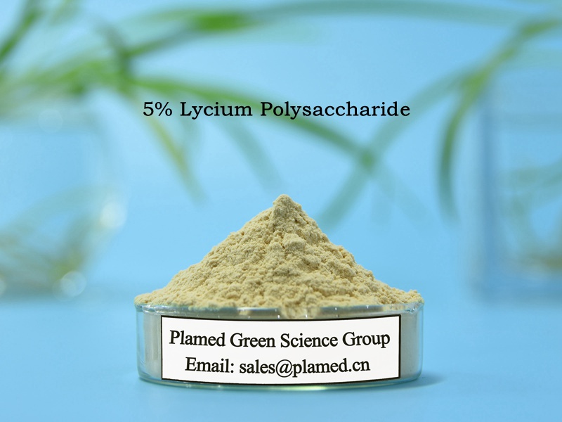 lycium polysaccharide