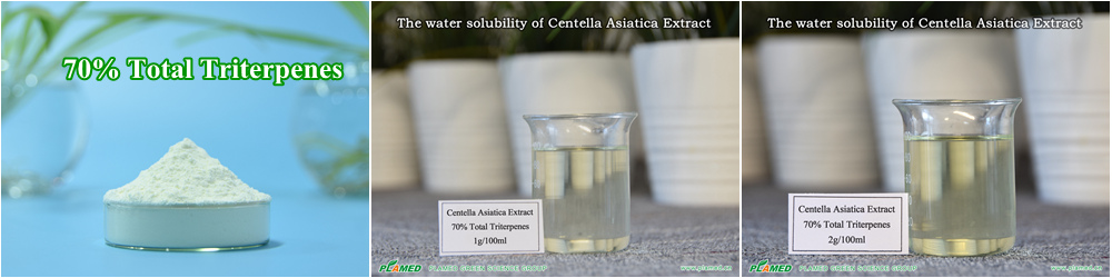 Centella Asiatica Extract, 70% Total Triterpenes