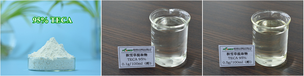 Centella Asiatica Extract, 95% TECA