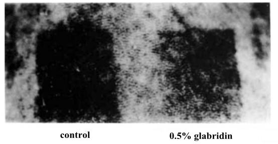 0.5% glabridin