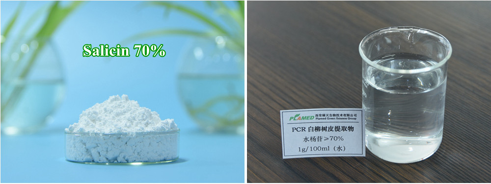 Salicin 70%