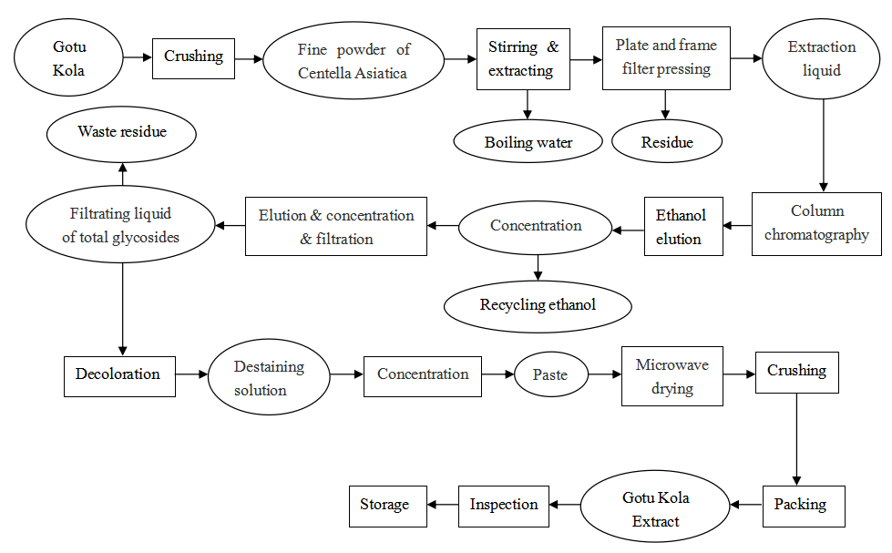 4.Gotu Kola Extract Manufacturer Process Flow Chart