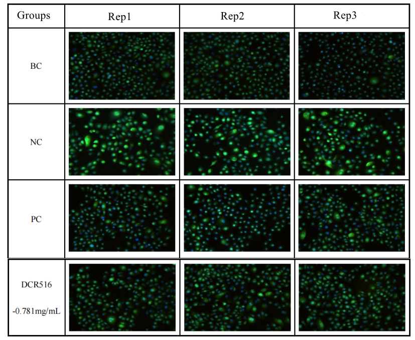 Table 3 TRPV1 immunofluorescence result chart