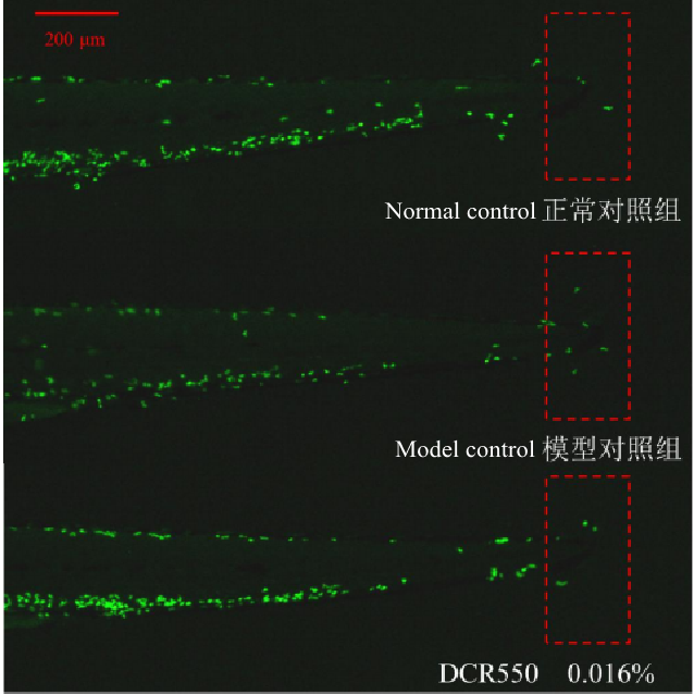 DCR®550 Soothing effect