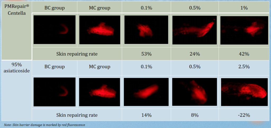 PMRepair® Centella for Skin Repair in zebrafish