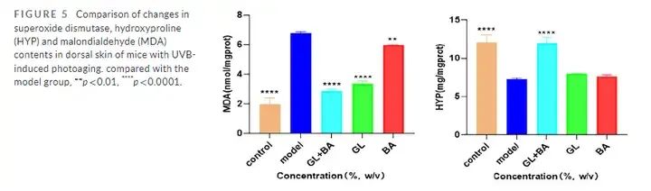 Glabridin+Bakuchiol Regulates SOD, MDA and HYP