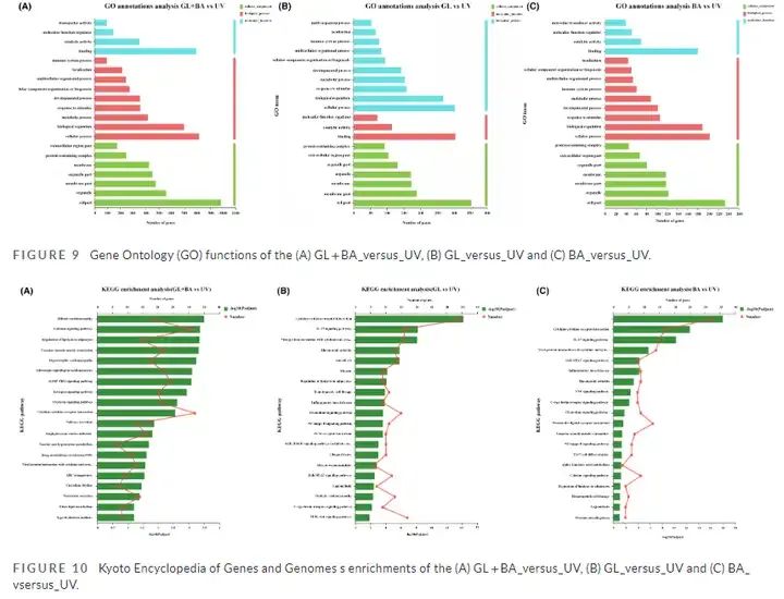 6.Analysis of differentially expressed genes and gene expression levels