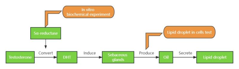 oil control mechanism