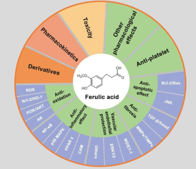 Figure. Ferulic acid benefits in cosmetics uses
