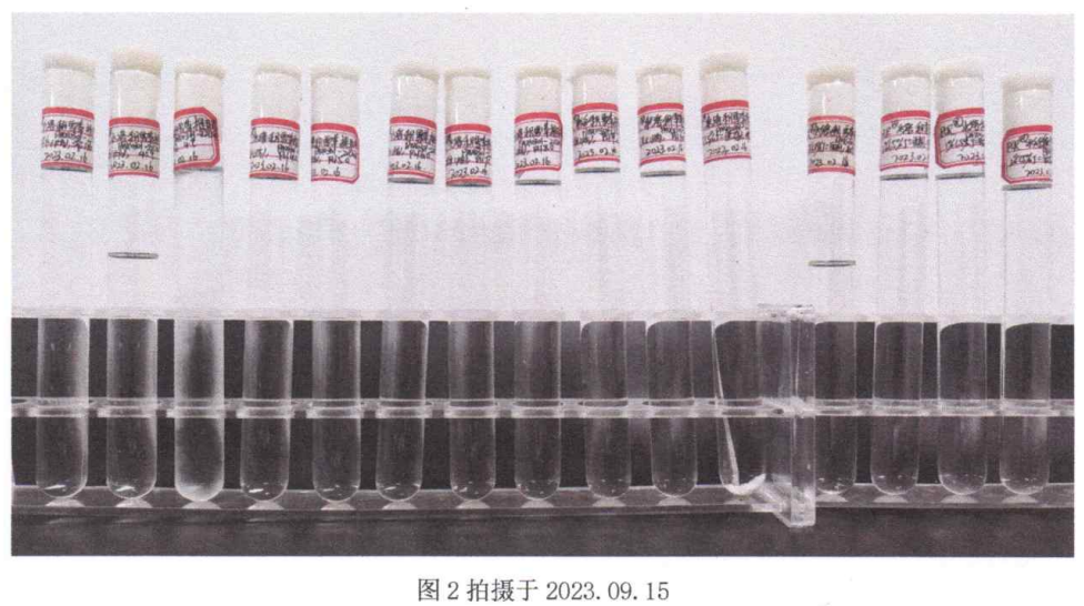 PMRepair® Centella-WS Stability